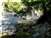 Diaterna_39.jpg (432185 byte)
